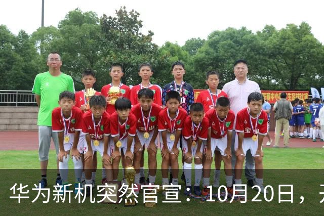 华为新机突然官宣：10月20日，开始申购